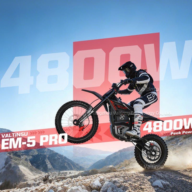 EM-5 Pro 1